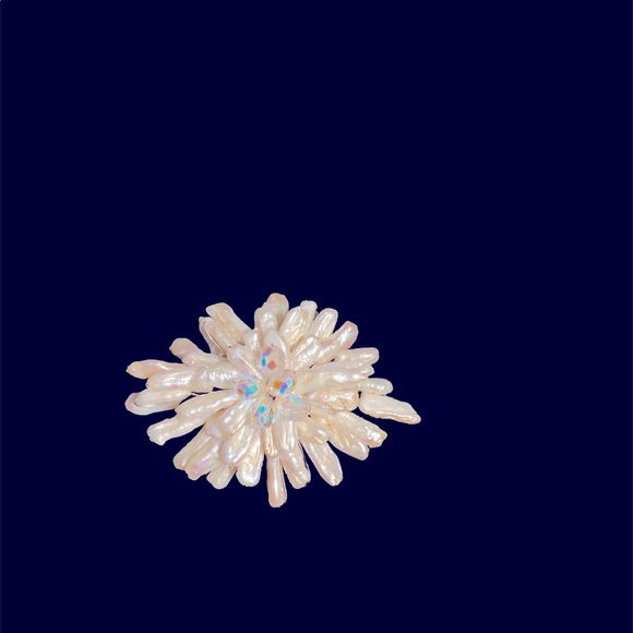 NWT Breathtaking necklace & brooch combo - Picture 5 of 11